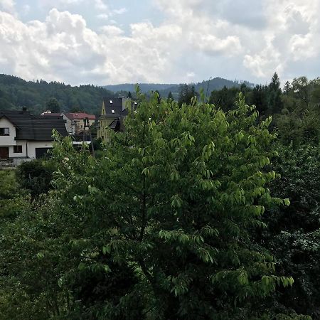 Apartamenty Montania ヴィスワ エクステリア 写真