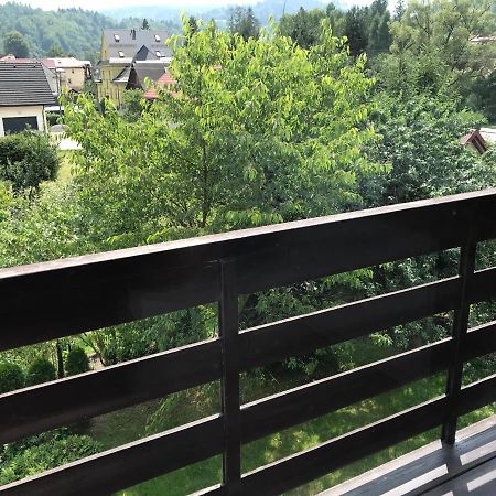 Apartamenty Montania ヴィスワ エクステリア 写真