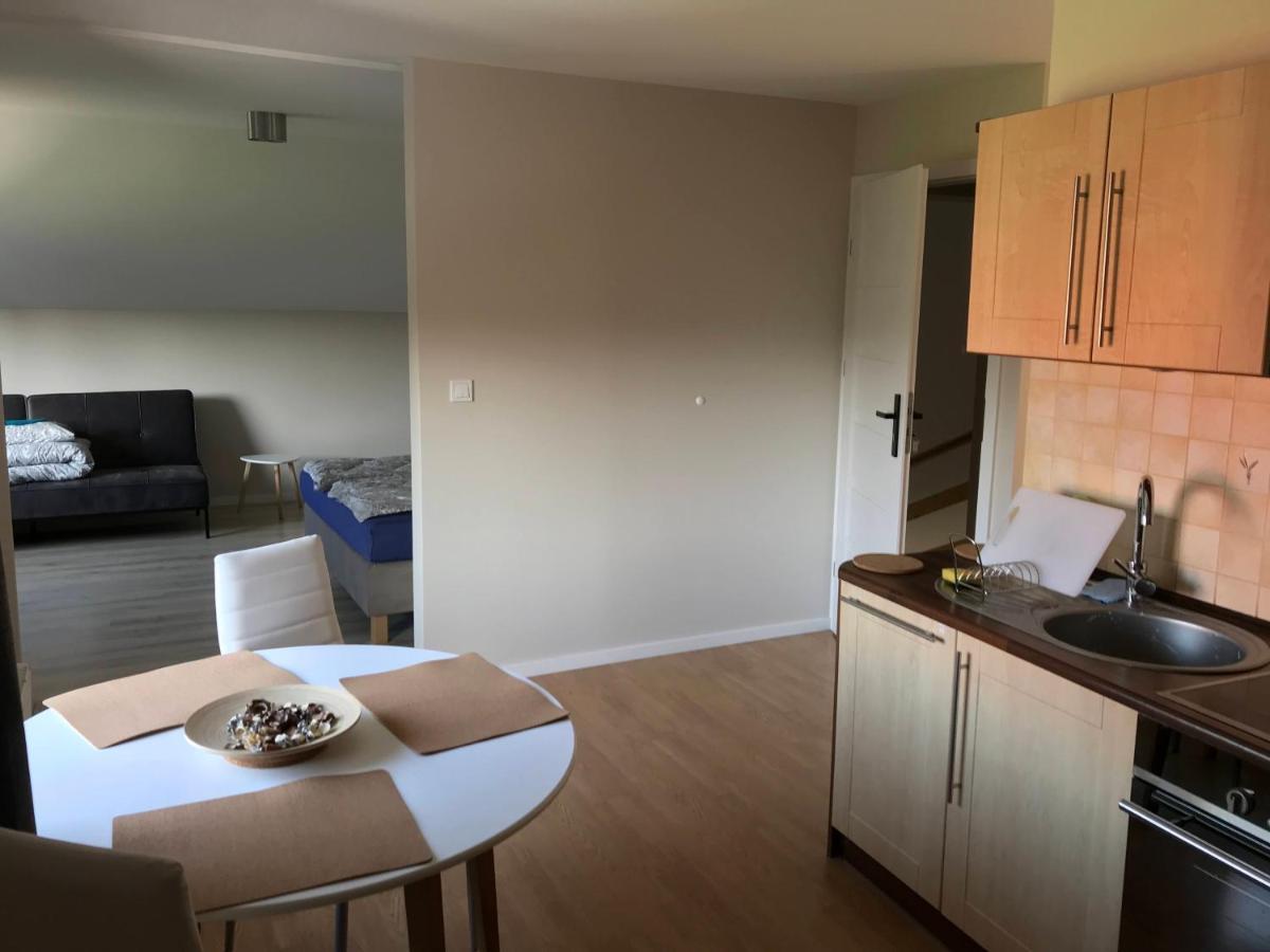 Apartamenty Montania ヴィスワ エクステリア 写真