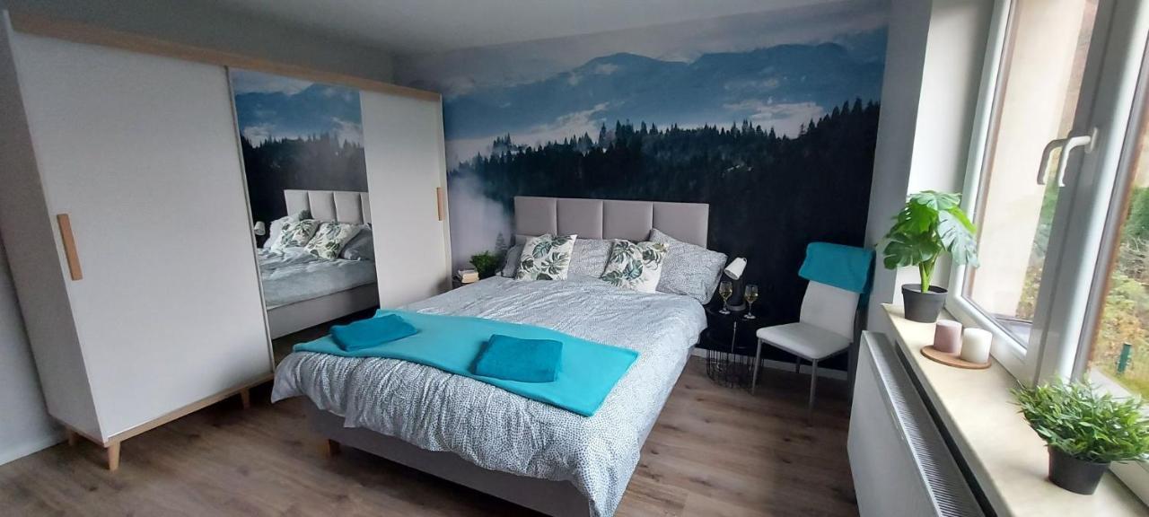 Apartamenty Montania ヴィスワ エクステリア 写真