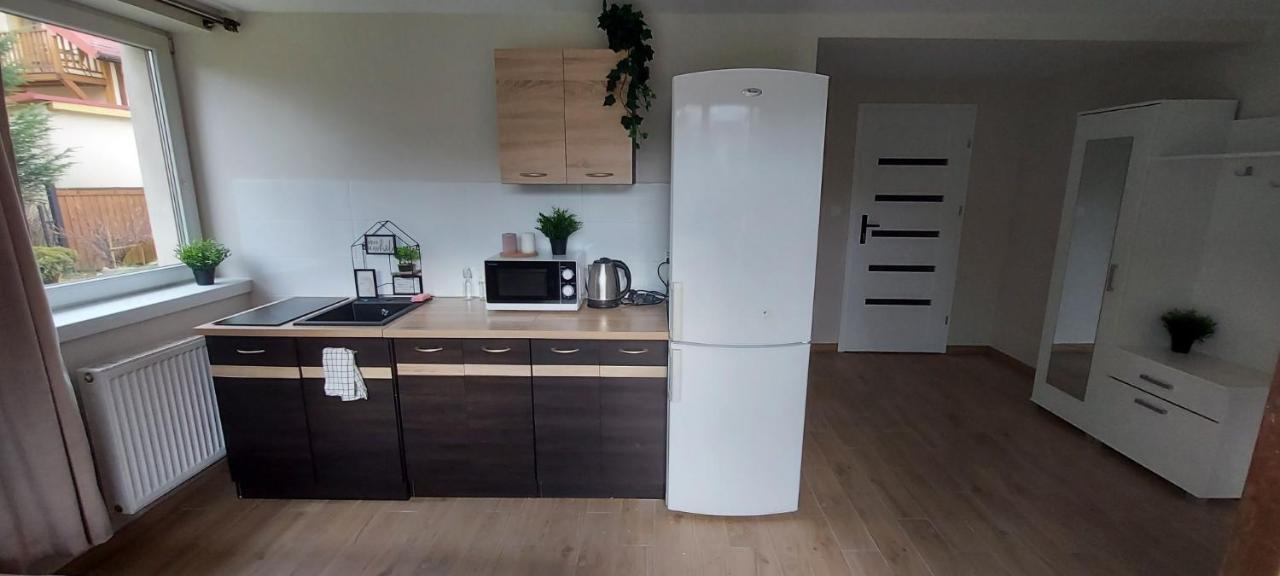 Apartamenty Montania ヴィスワ エクステリア 写真
