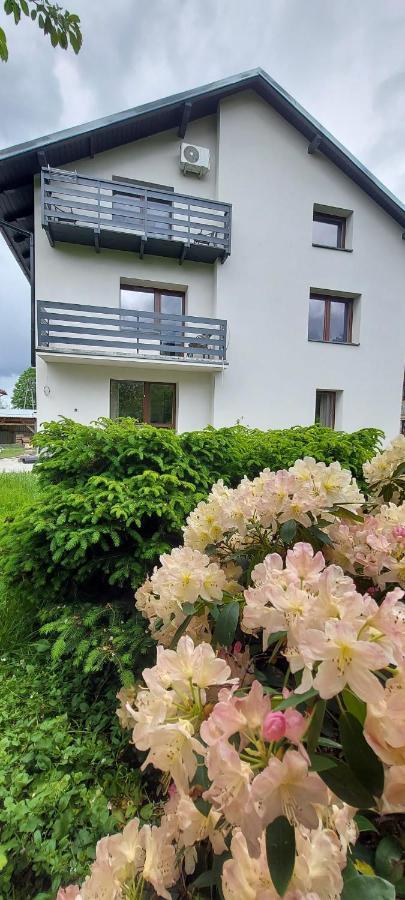 Apartamenty Montania ヴィスワ エクステリア 写真