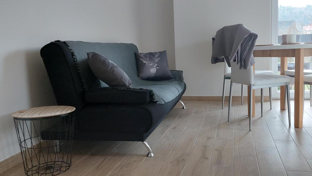 Apartamenty Montania ヴィスワ エクステリア 写真