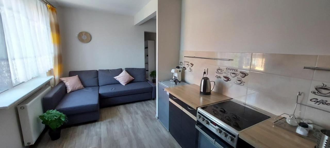 Apartamenty Montania ヴィスワ エクステリア 写真