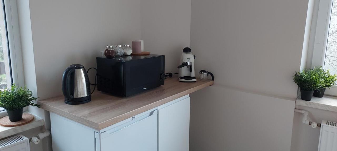 Apartamenty Montania ヴィスワ エクステリア 写真