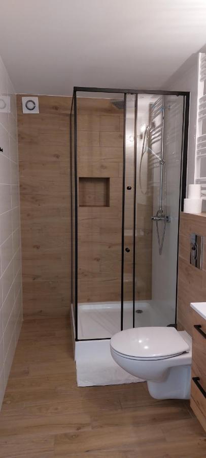 Apartamenty Montania ヴィスワ エクステリア 写真