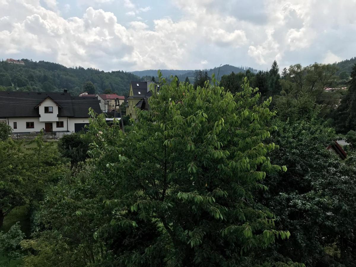 Apartamenty Montania ヴィスワ エクステリア 写真