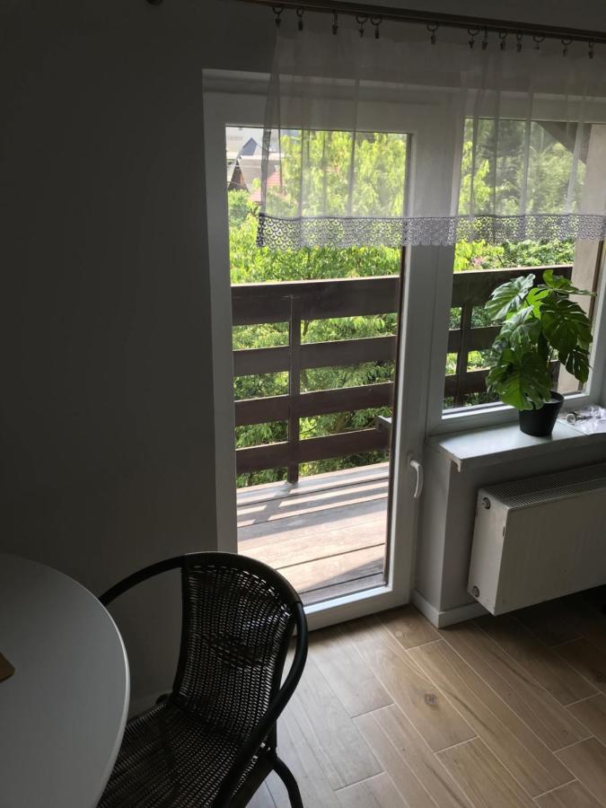 Apartamenty Montania ヴィスワ エクステリア 写真