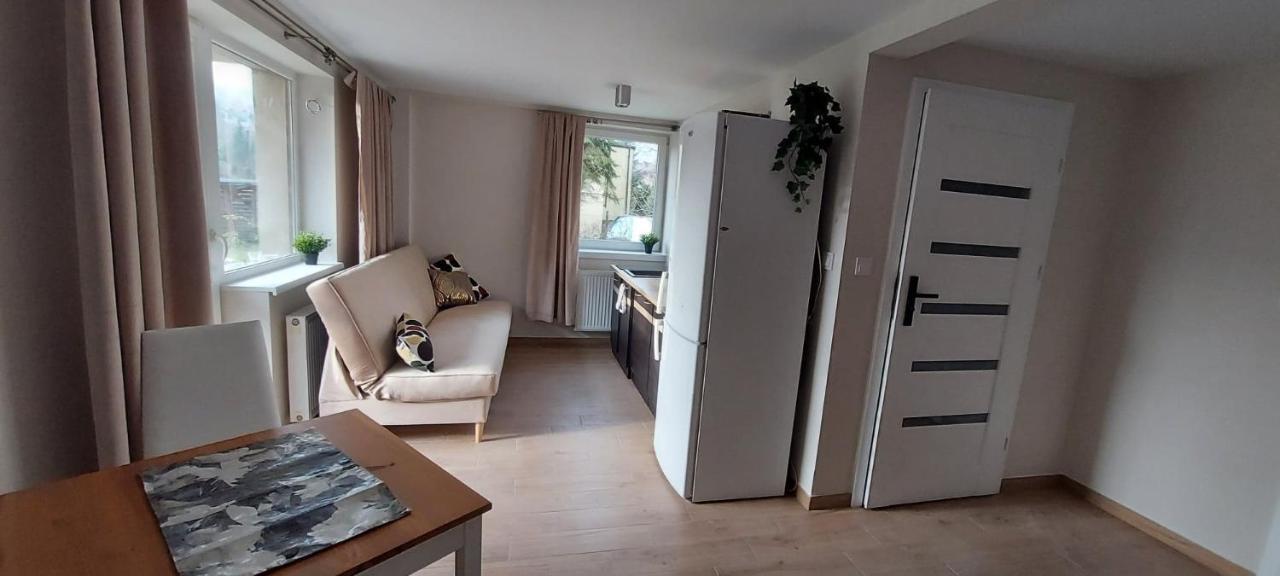 Apartamenty Montania ヴィスワ エクステリア 写真