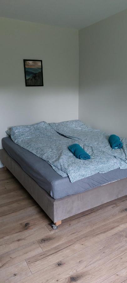 Apartamenty Montania ヴィスワ エクステリア 写真