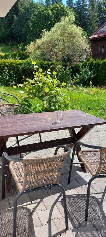 Apartamenty Montania ヴィスワ エクステリア 写真