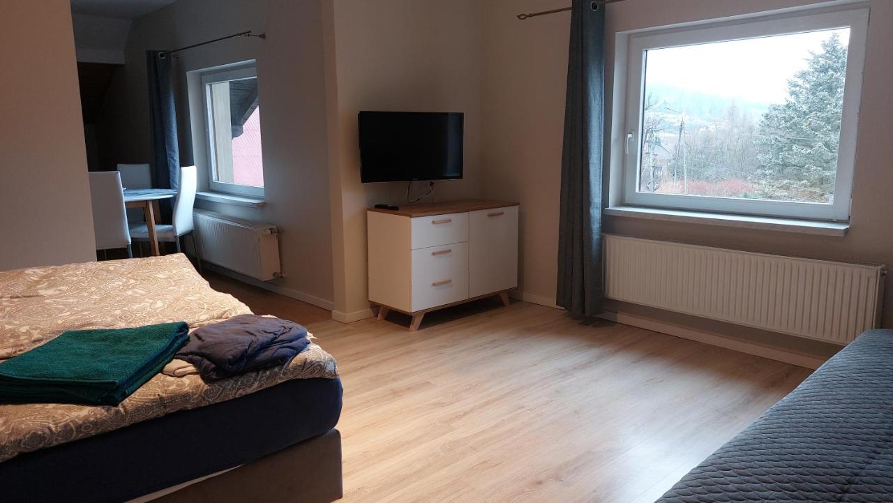 Apartamenty Montania ヴィスワ エクステリア 写真