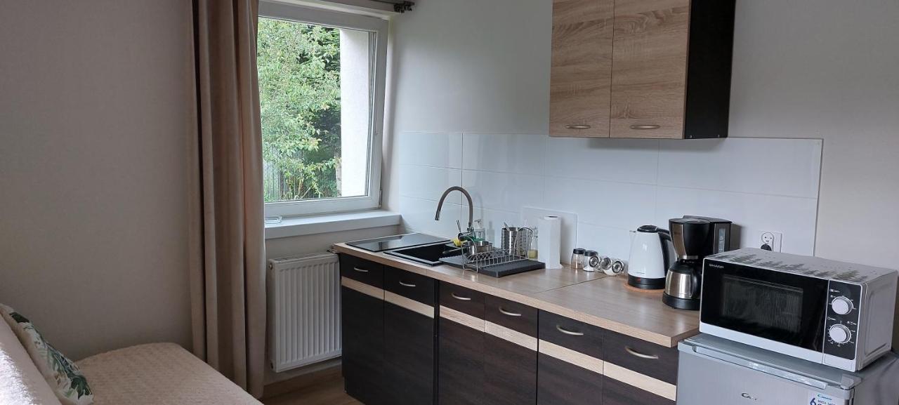 Apartamenty Montania ヴィスワ エクステリア 写真