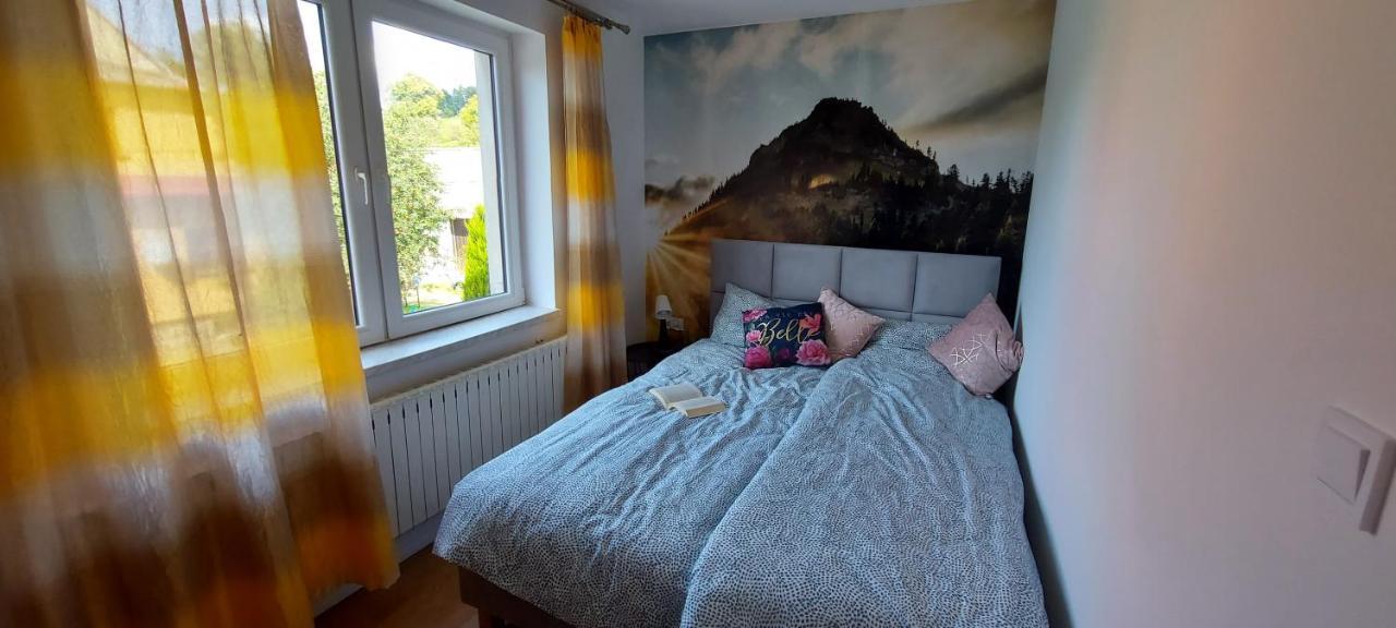 Apartamenty Montania ヴィスワ エクステリア 写真