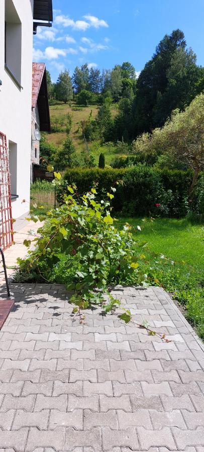 Apartamenty Montania ヴィスワ エクステリア 写真