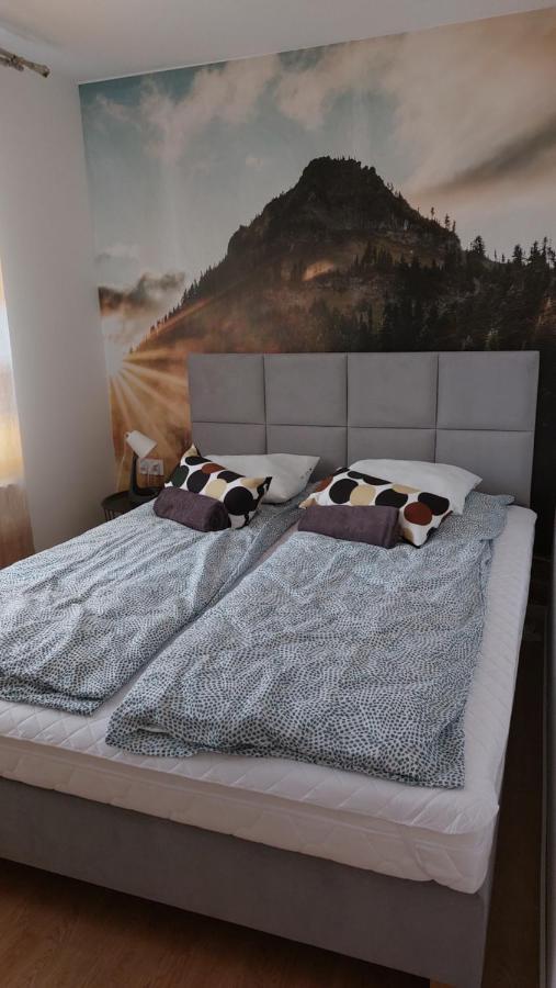 Apartamenty Montania ヴィスワ エクステリア 写真