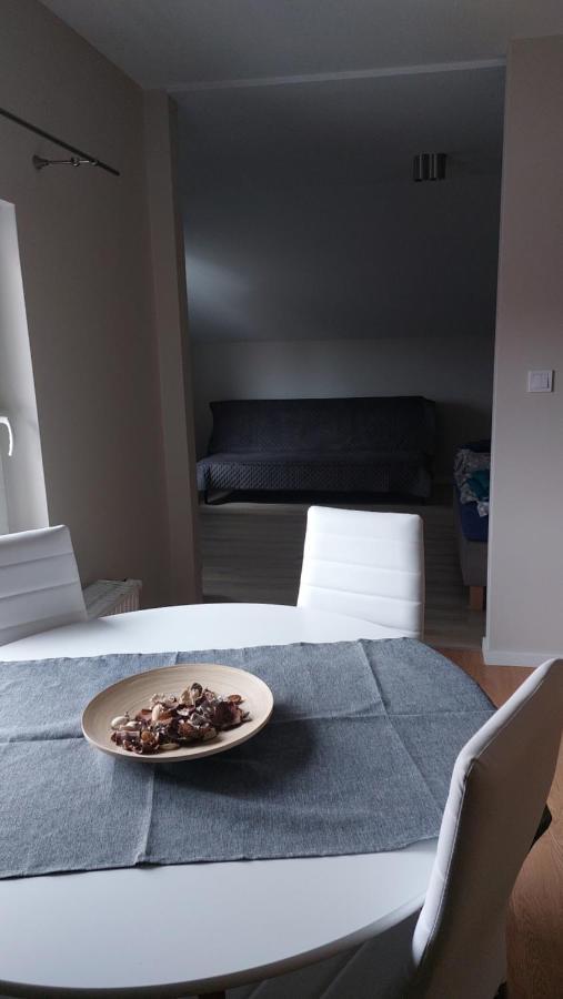 Apartamenty Montania ヴィスワ エクステリア 写真