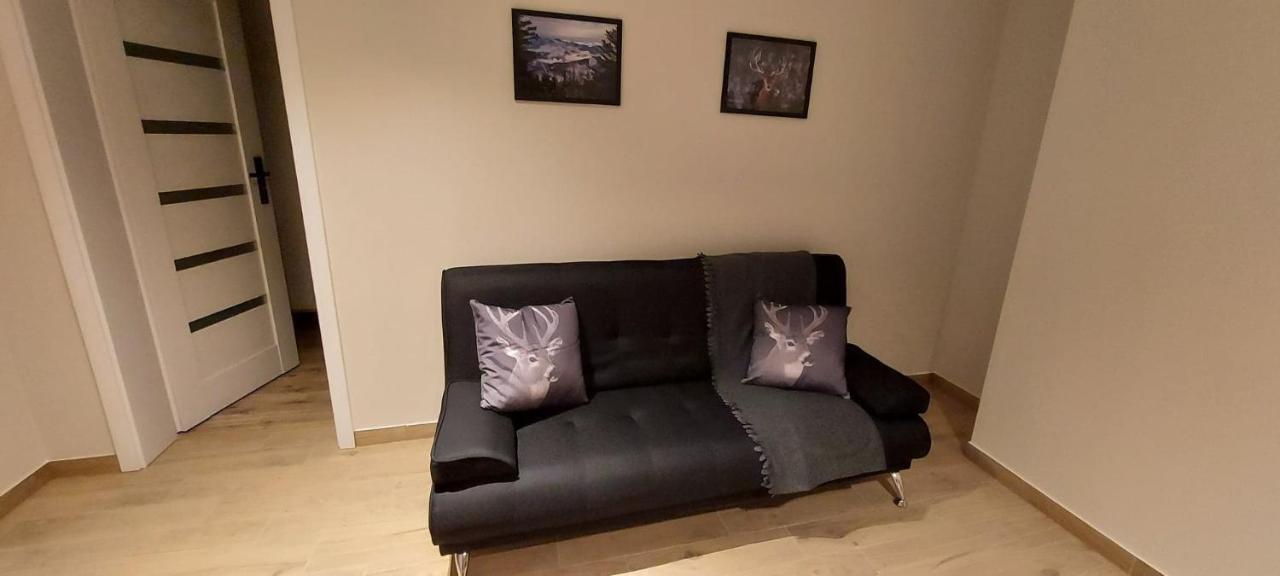 Apartamenty Montania ヴィスワ エクステリア 写真